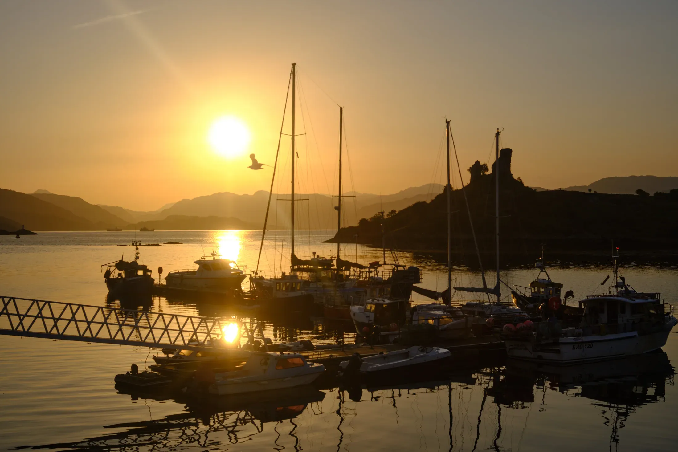 Sailboats moored in a harbor as the low sun reflects across the water.
