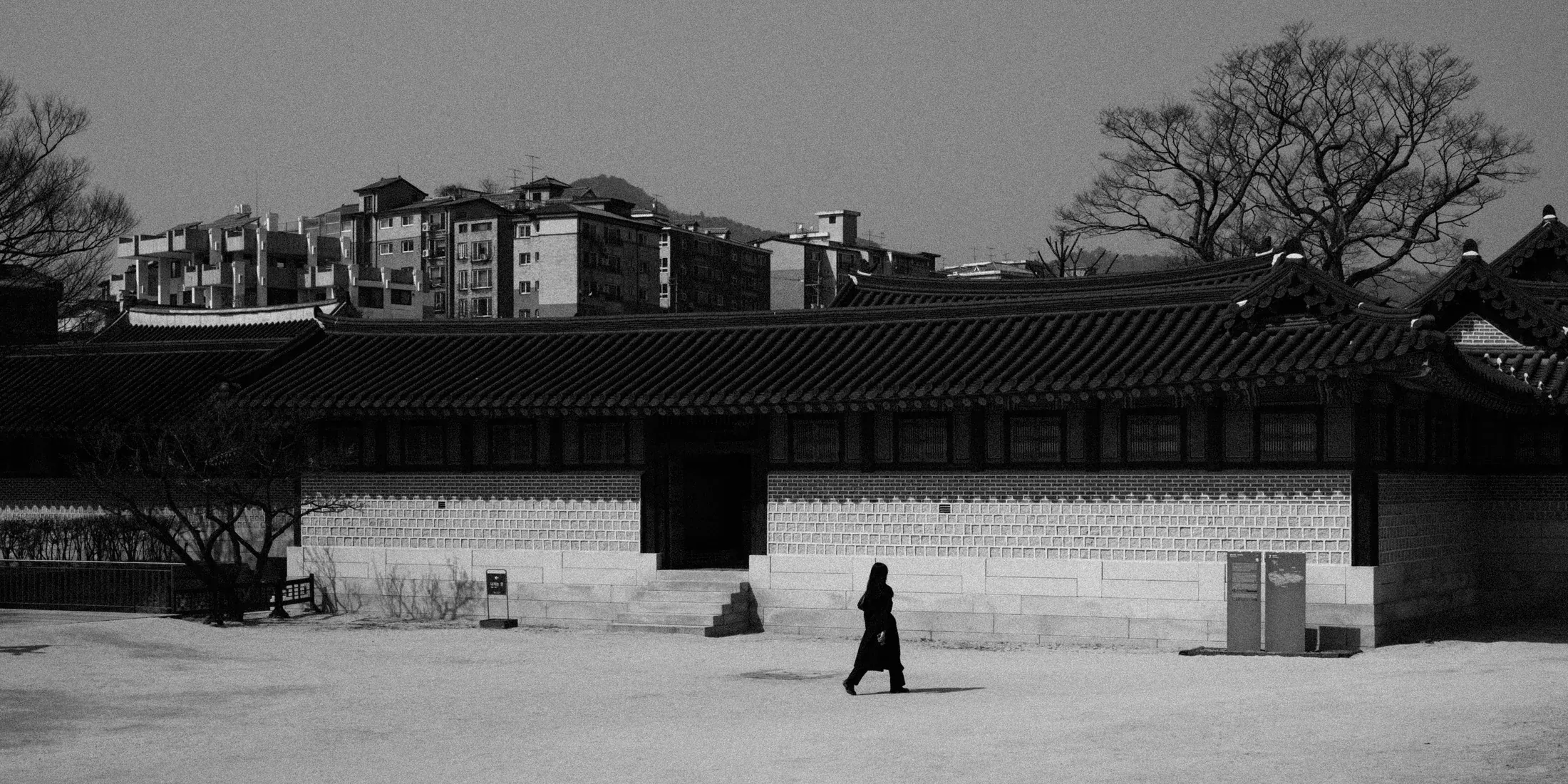 Black and white palace wall with a lone walker and apartment blocks beyond the trees.