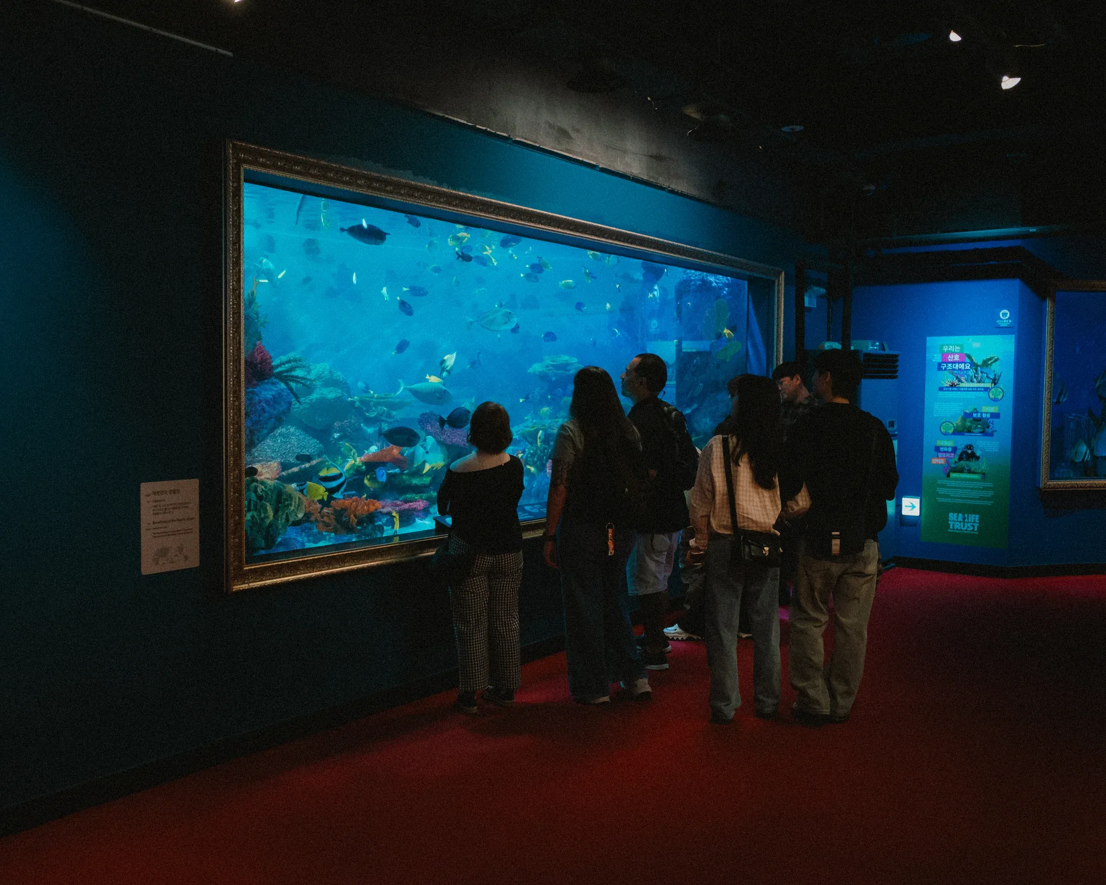 Dark aquarium room with visitors standing before a large blue tank of fish.