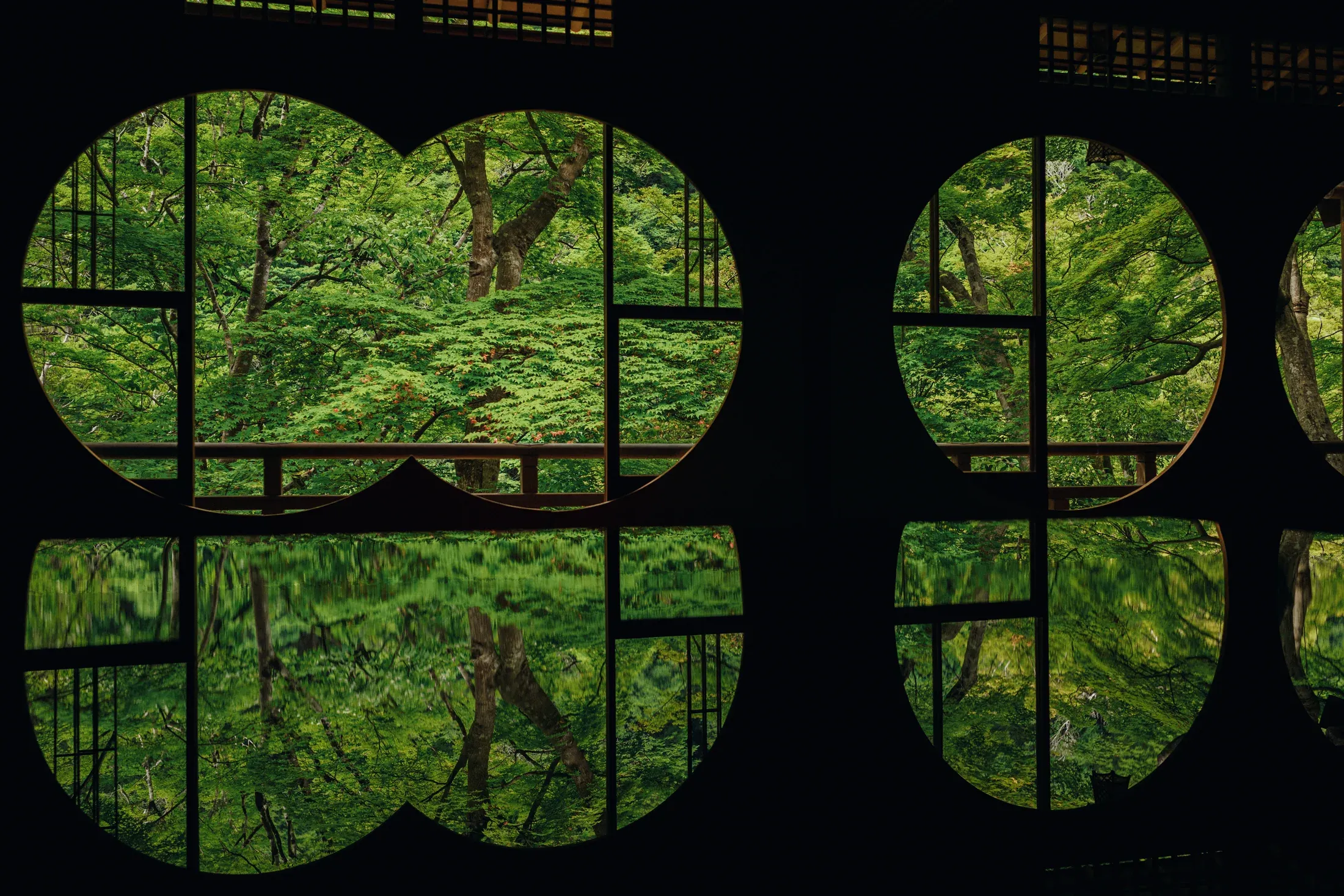 Green garden seen through dark circular windows reflected across a polished interior surface.