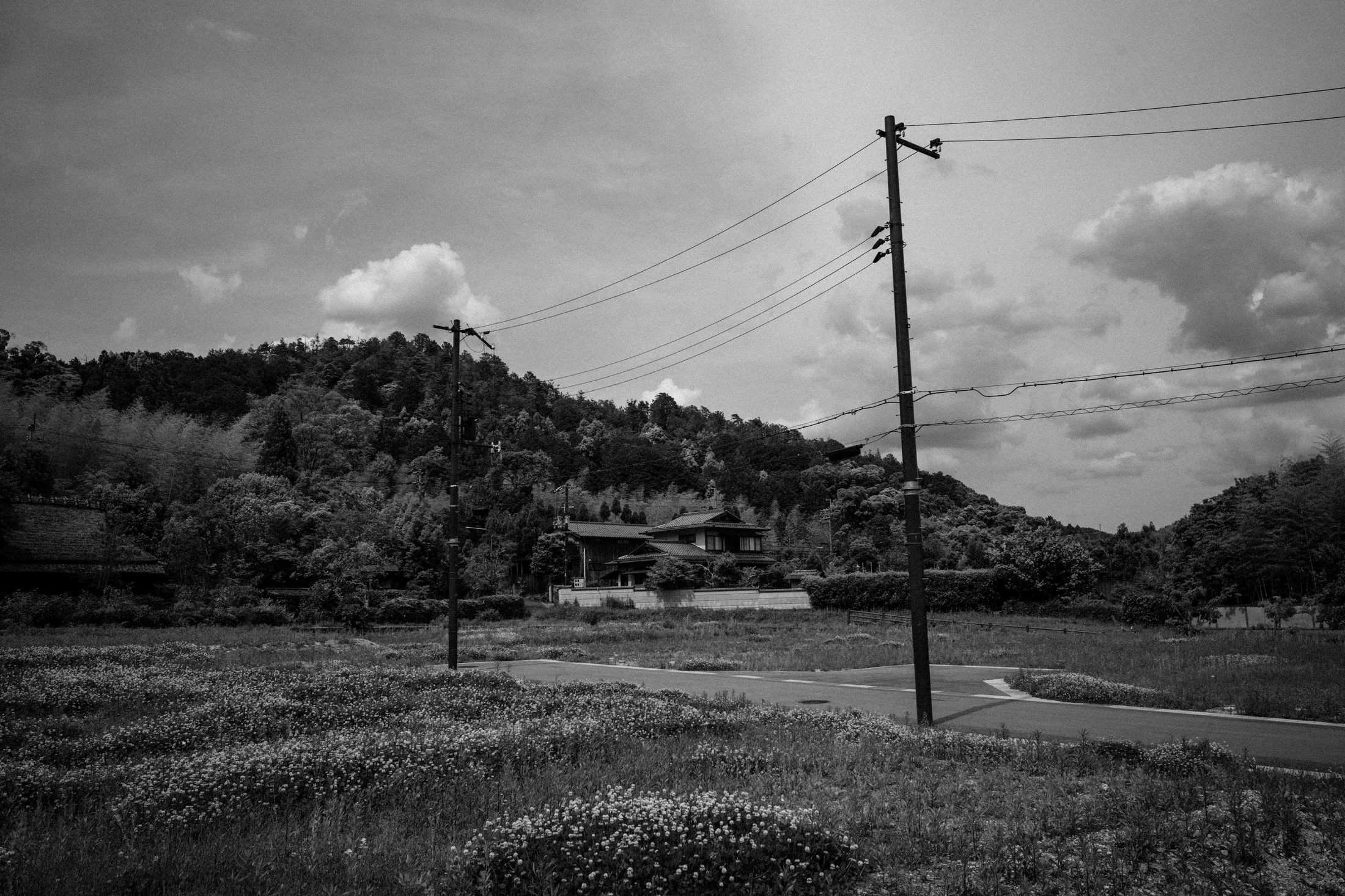Black and white rural edge with a utility pole, low fields, trees, and clouds.