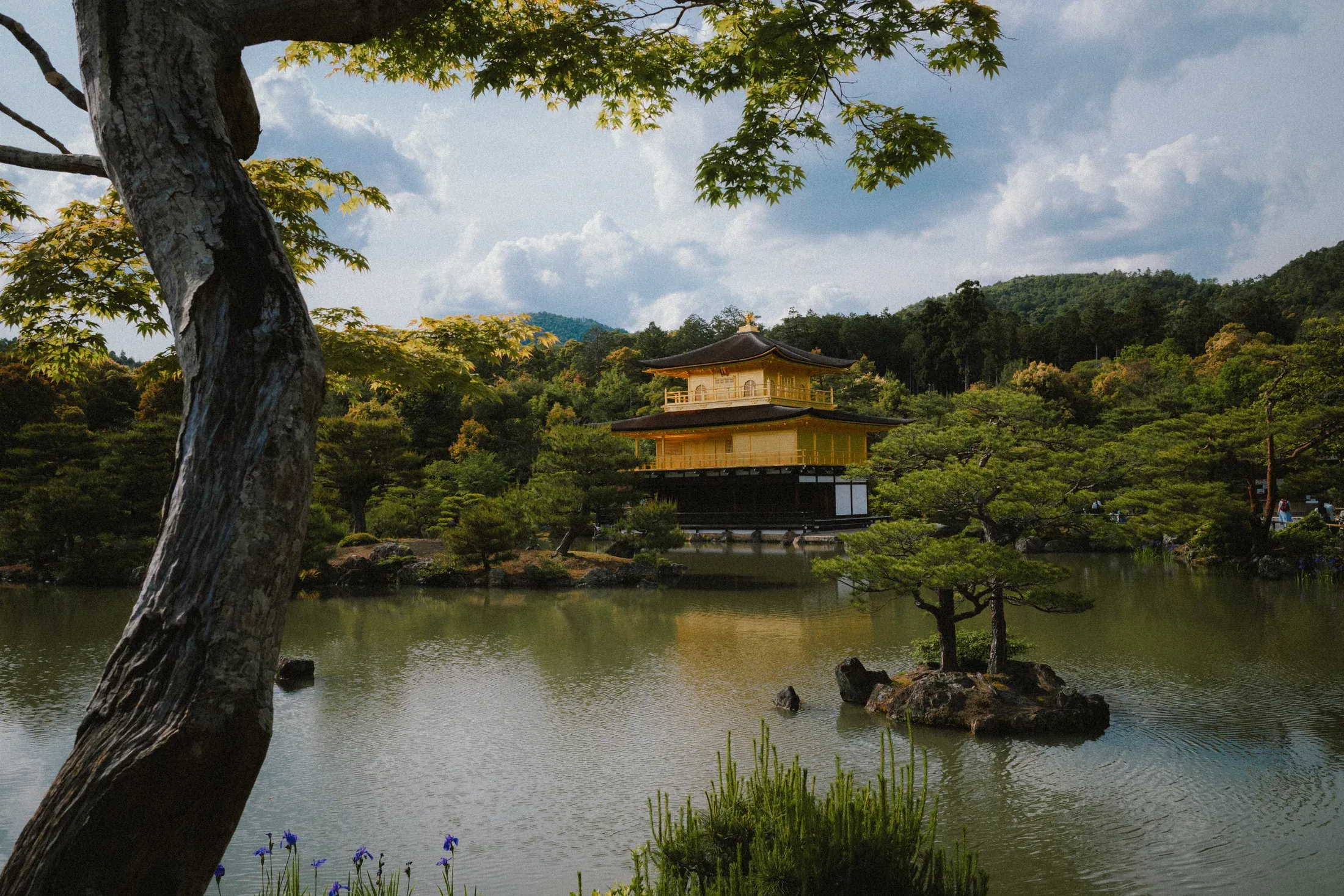 Japon