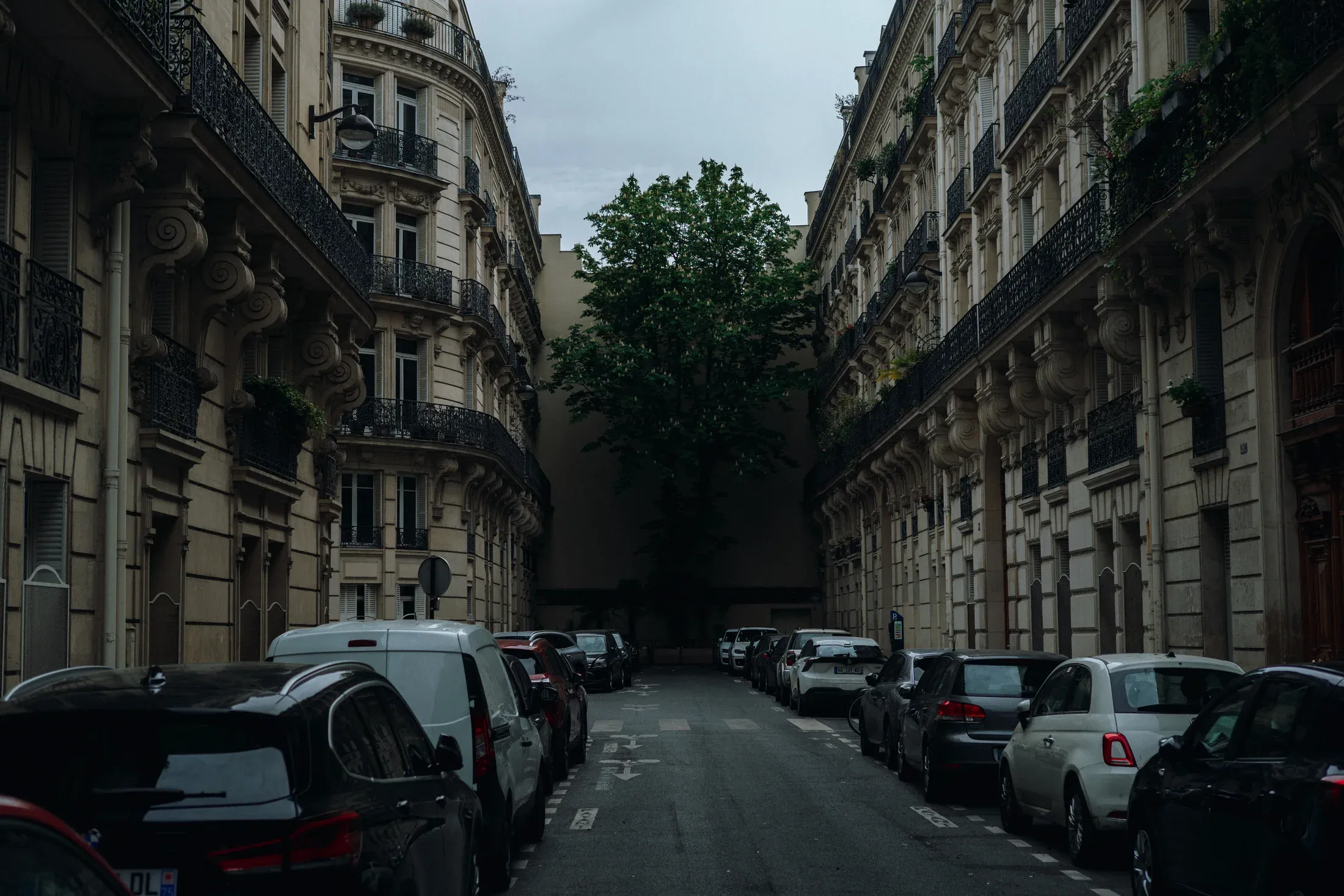 Tree-lined Paris street bordered by dark apartment facades and parked cars.