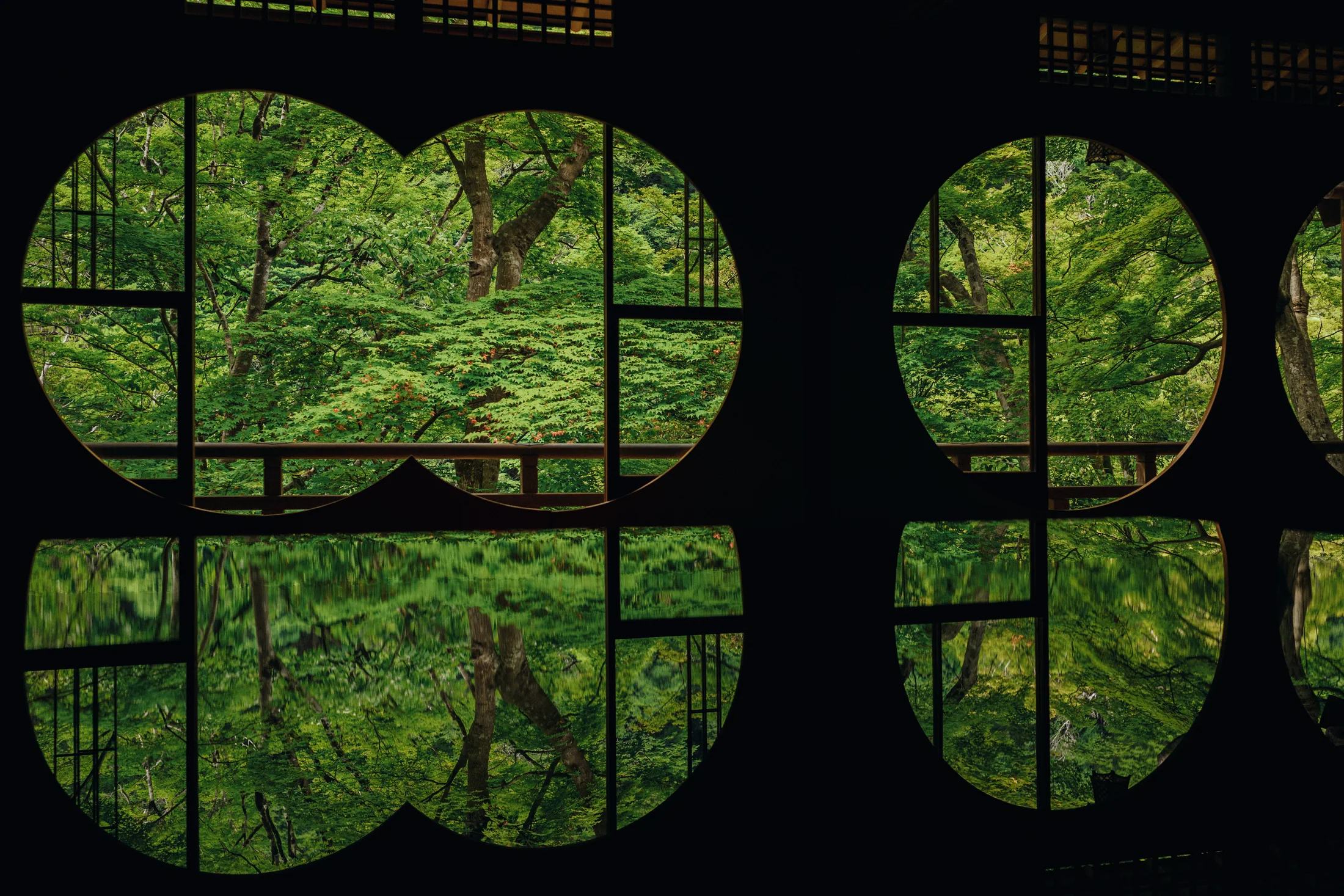 Green garden seen through dark circular windows reflected across a polished interior surface.