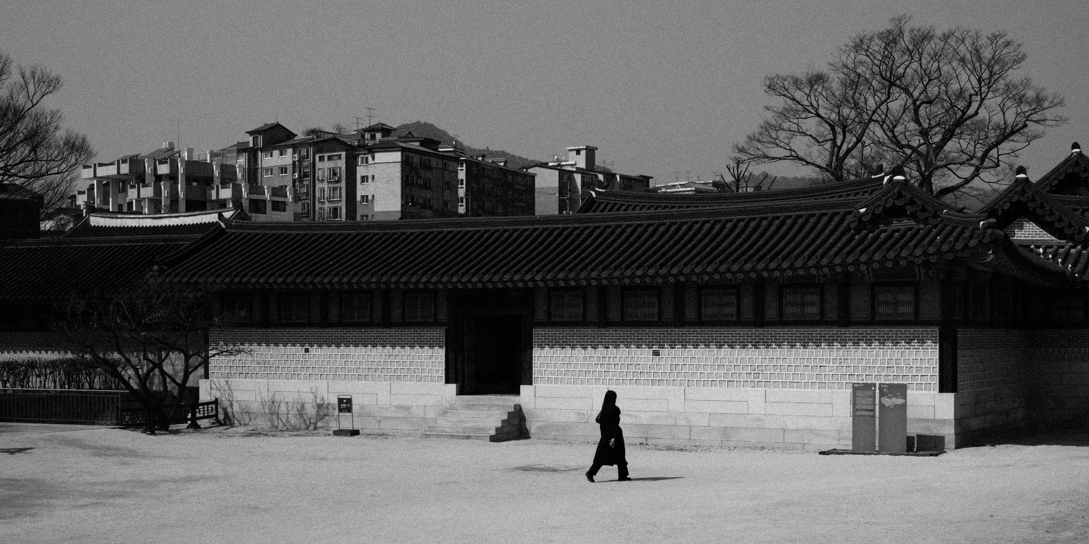 Black and white palace wall with a lone walker and apartment blocks beyond the trees.